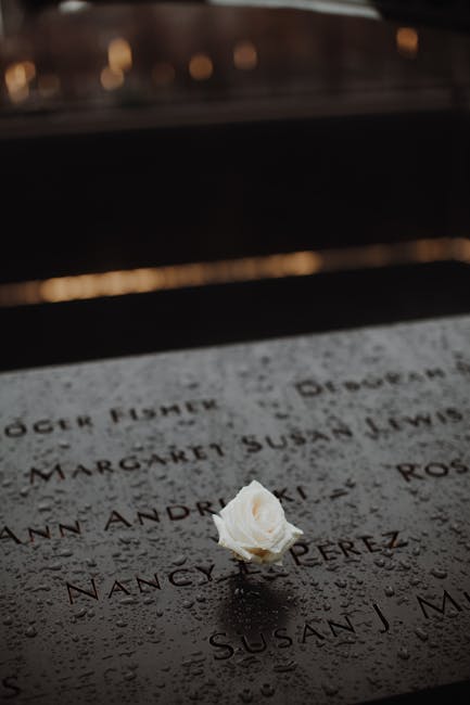 Rose at memorial representing community resilience